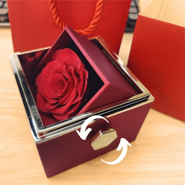 Eternal Rose Box - With Photo Projection Heart Necklace & Real Rose